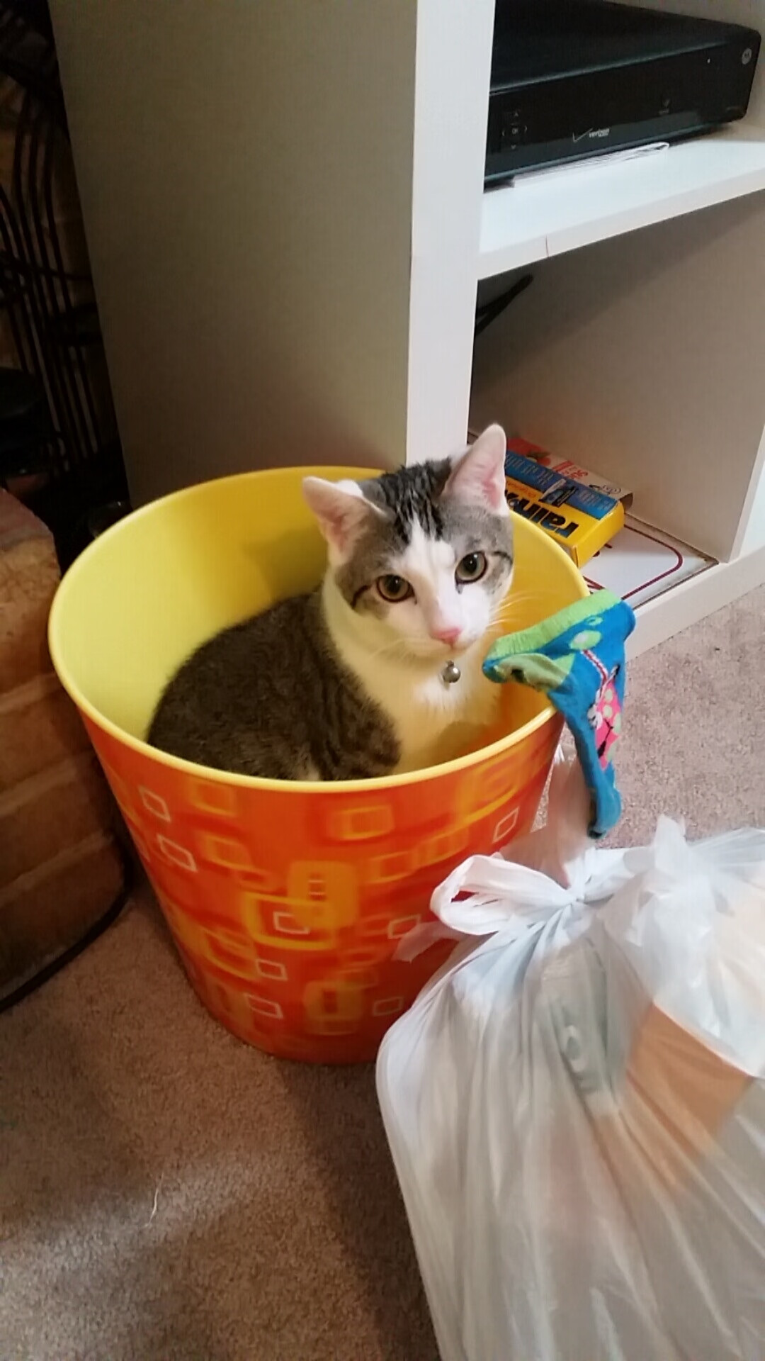 爱游戏官方-“未来之星全国青少年足球邀请赛火热举行，精彩纷呈”，校园足球未来之星申报材料2020年