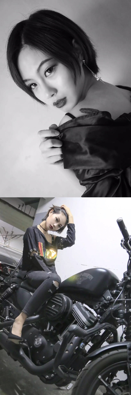 世界冰壶锦标赛，冰上策略的精彩较量，冰壶比赛世界排名