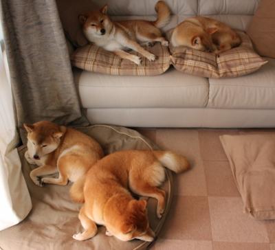 【训练方法】利用虚拟场景模拟,提升比赛应变能力,虚拟场景设计包括哪几种类型