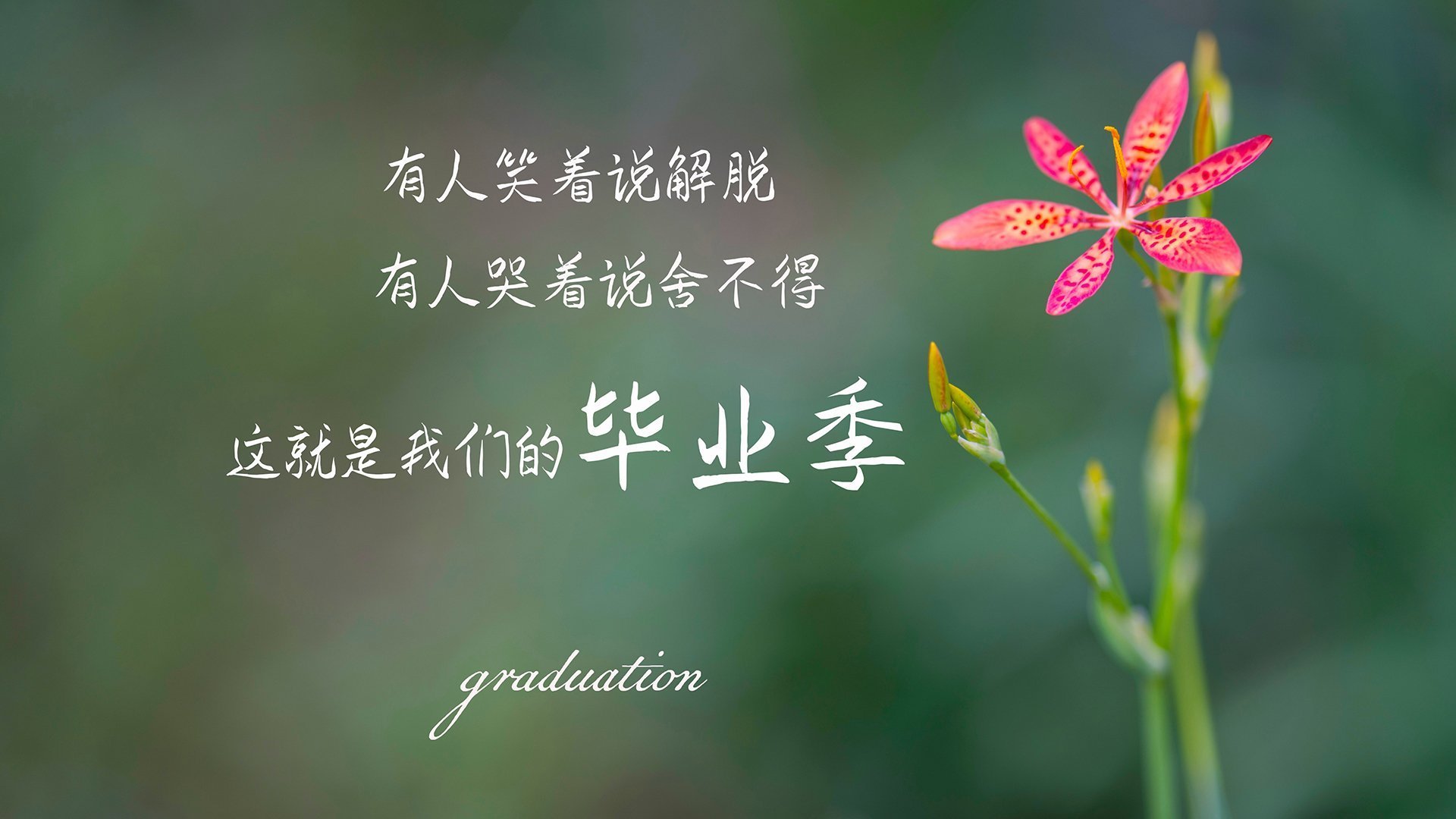 印度男子4×400米接力队夺得金牌,展现强劲实力。,男子4×100米接力决赛冠军