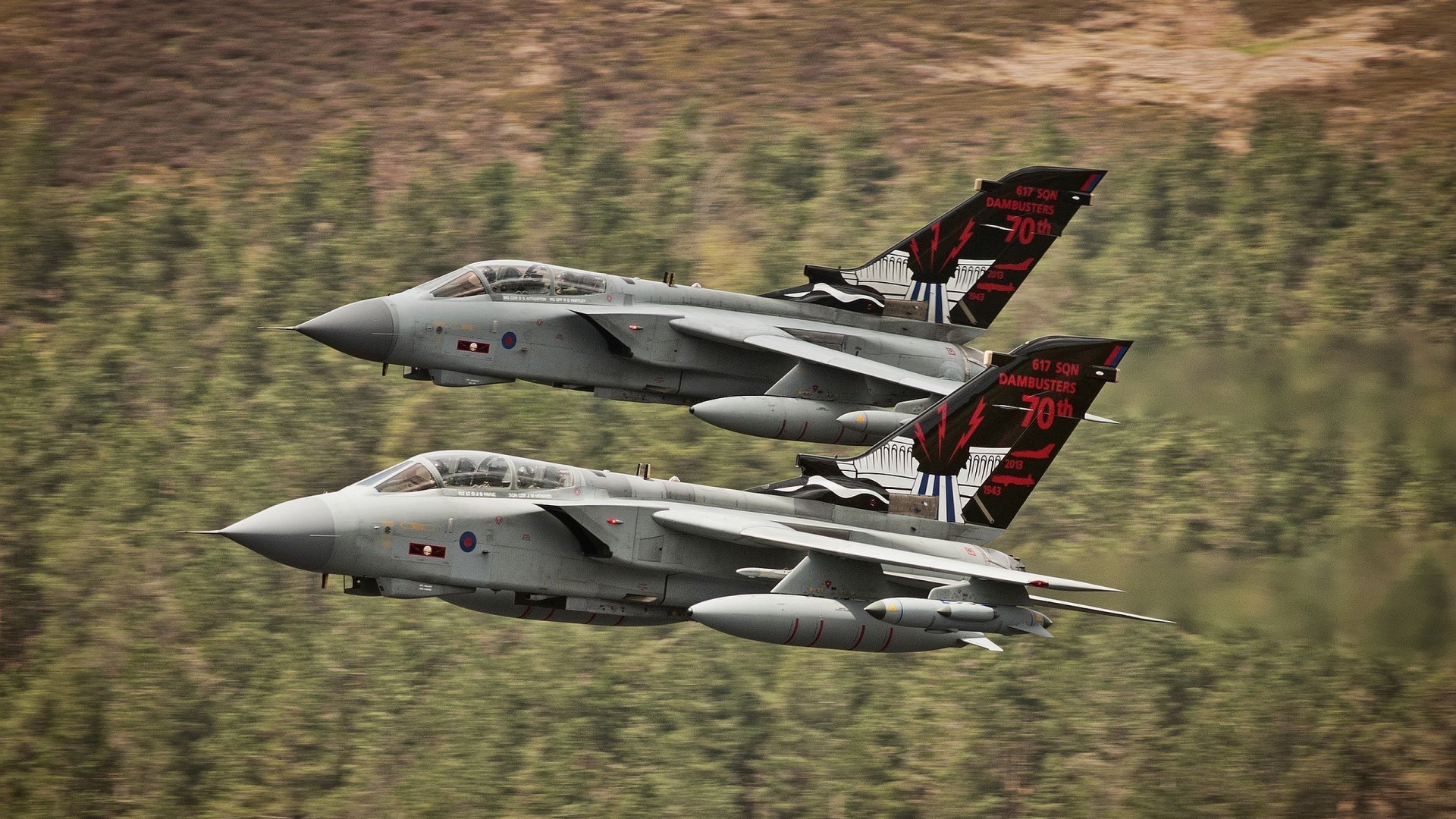 爱游戏体育平台-巴西马术协会与阿根廷马术协会合作，举办国际马术友谊赛。，阿根廷马球马