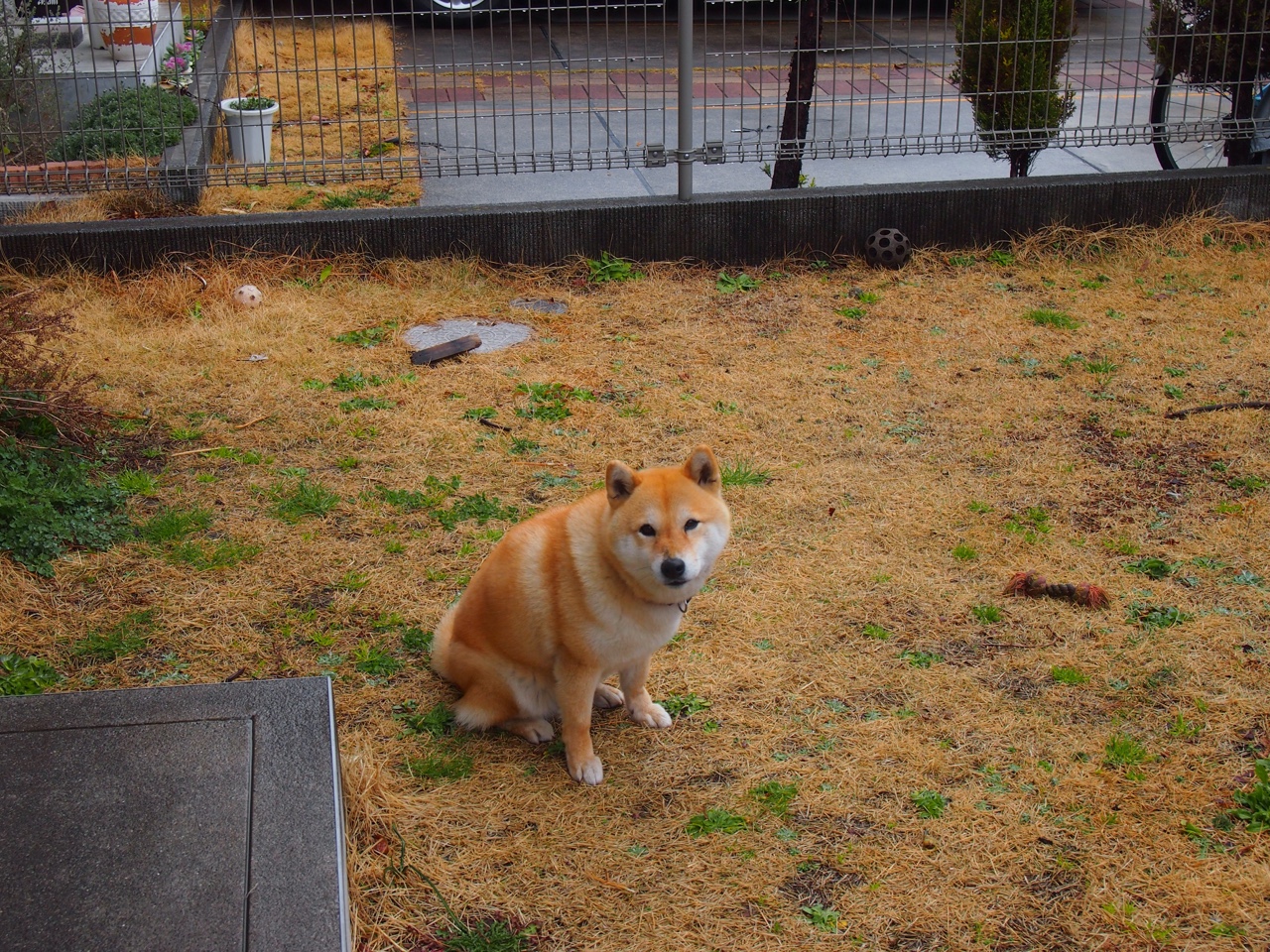 法甲争冠焦点：豪门激战，悬念还未揭晓，法甲新豪门