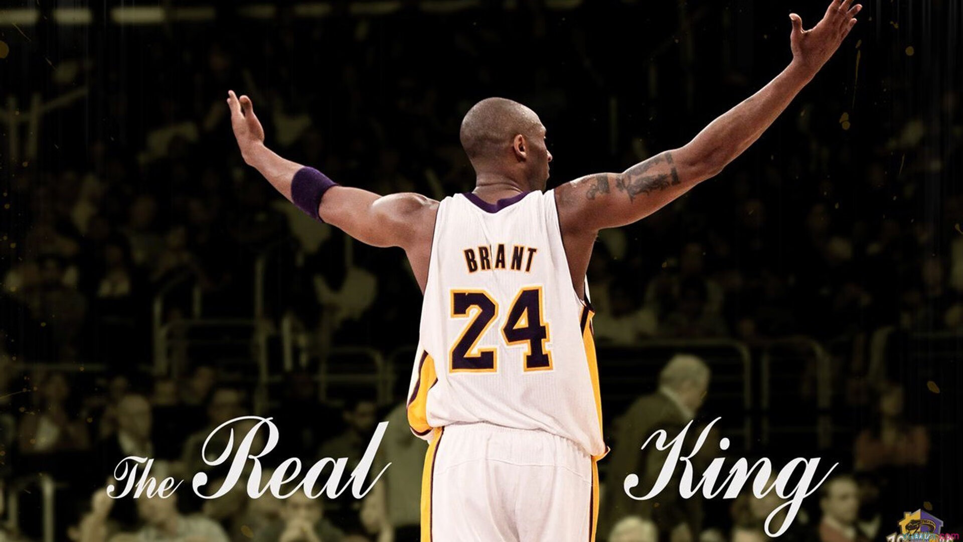 爱游戏下载-电竞选手伤病困扰：高强度训练，如何保护身体，电竞选手锻炼身体