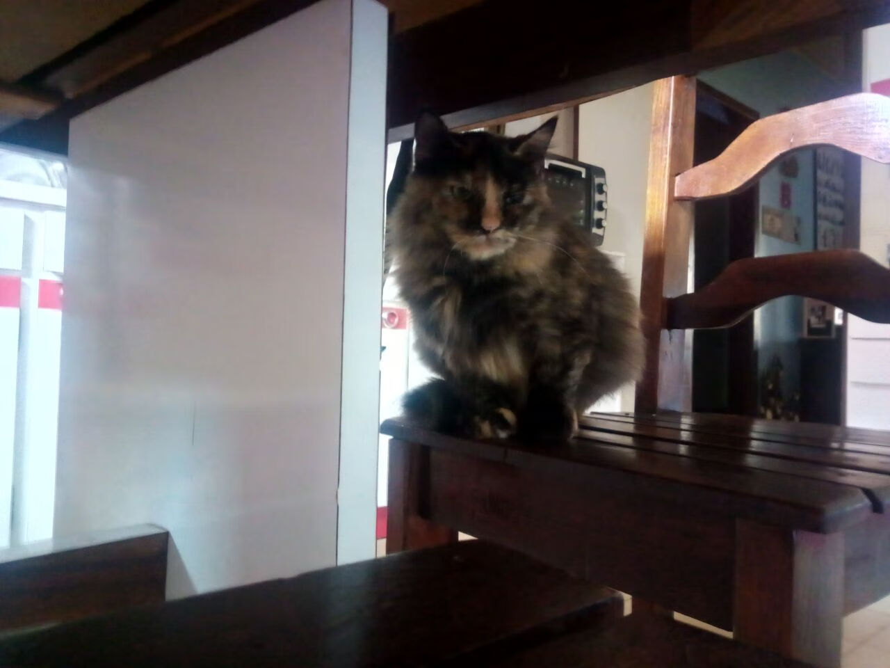 爱游戏体育APP下载-FaZe尝试签下英雄联盟主播团队，faze战队官网