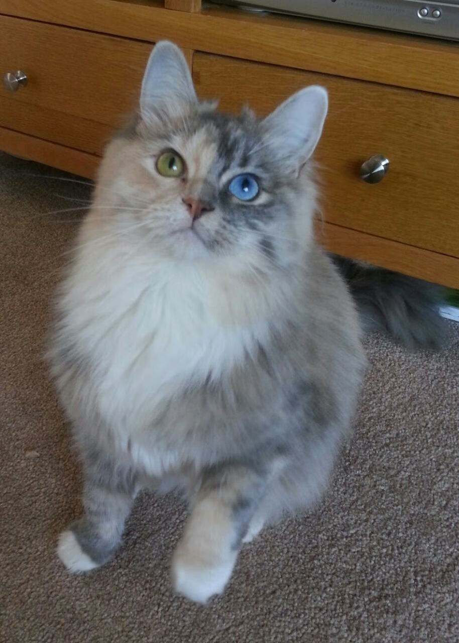 爱游戏中国官方网站平台-中国男足首次晋级奥运会四分之一决赛，中国男足奥运会落选赛