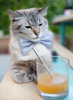 亚非篮球新锐挑战赛收官,激情碰撞令人惊艳,亚非足球对抗赛