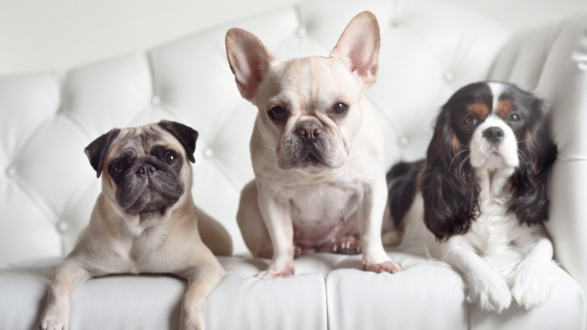 -揭秘：马赛大胜对手，晋级欧冠半决赛！，马赛欧冠13连败