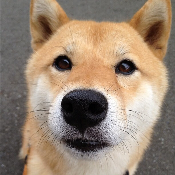 摩洛哥队在巴黎奥运会男足比赛中表现出色,赢得奖牌,摩洛哥男足世界排名