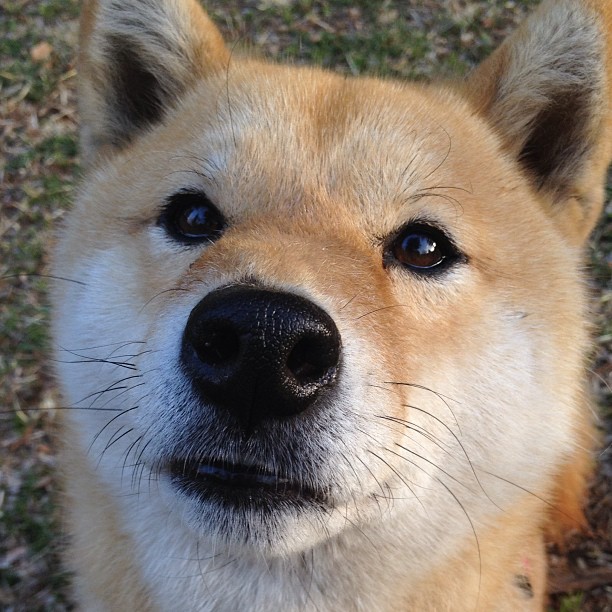 球员合同年是否会激发更好表现,球员合同没到期可以宣布退役吗