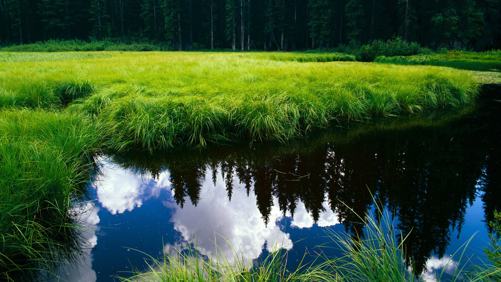 瓦尔杜推搪送佩内特入球,球队晋级之路艰难,瓦尔德内尔vs佩尔森