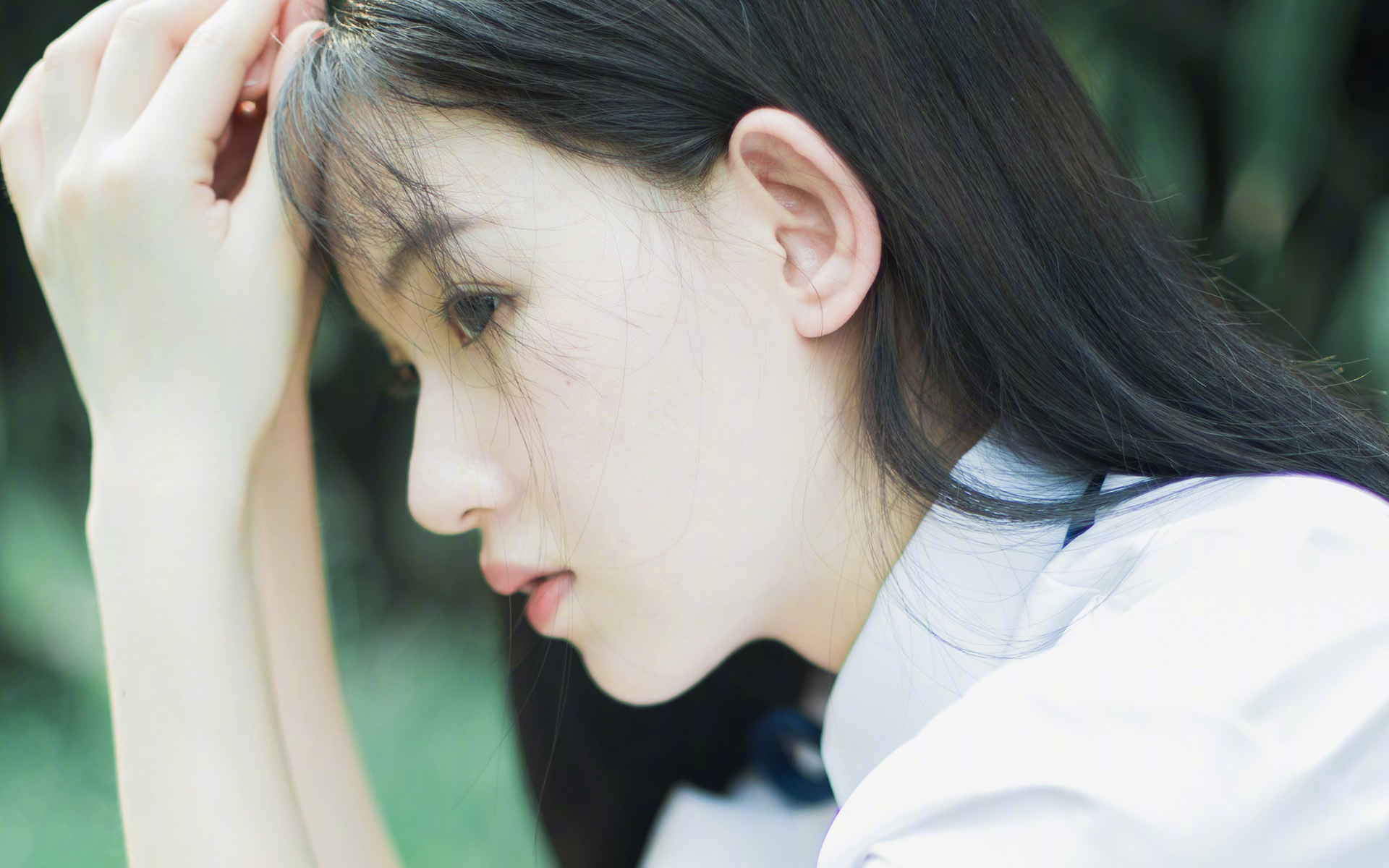 爱游戏中国官方登录入口网站-缅因凯尔特人球员入选全明星，凯缅因猫凯米尔色