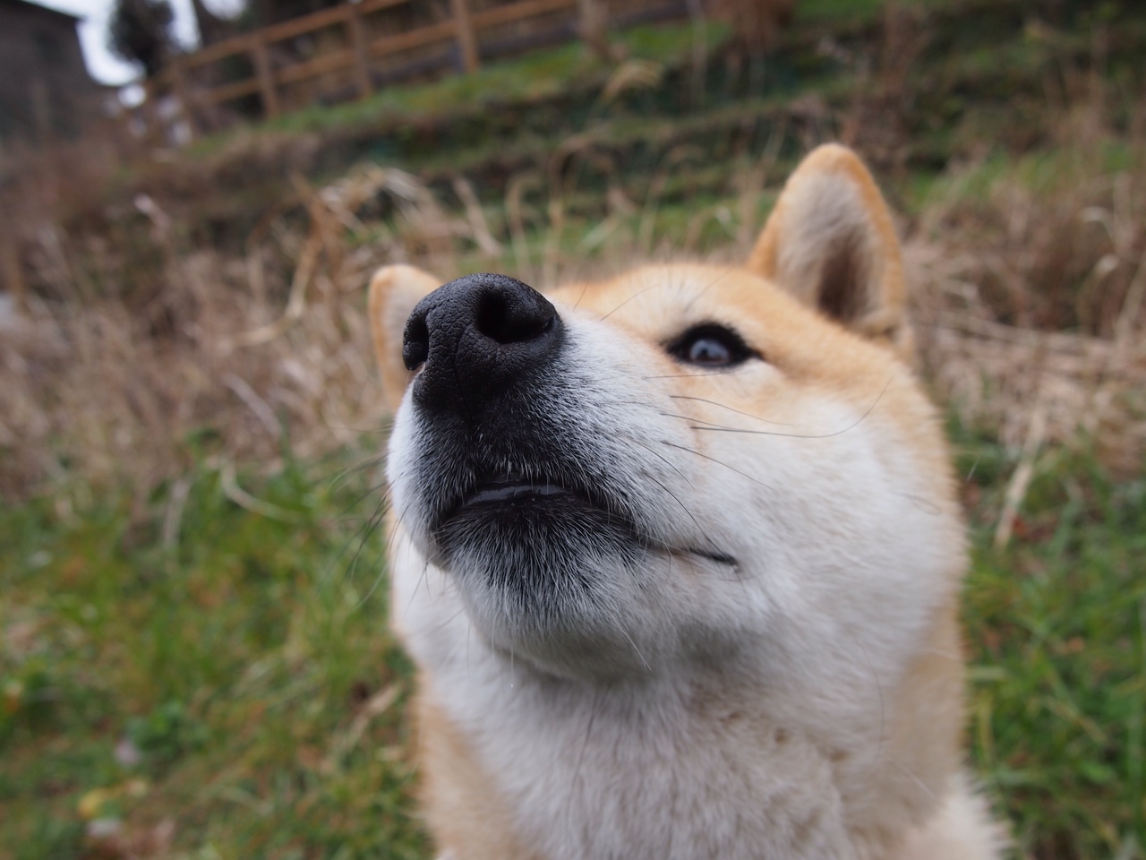 中国青少年篮球发展政策实施效果及优化建议,中国青少年篮球发展政策实施效果及优化建议
