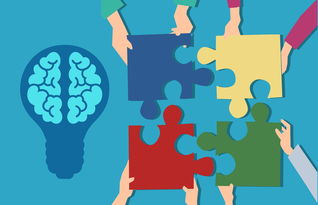 爱游戏体育app-中小学课程内容创新，中小学创新教育