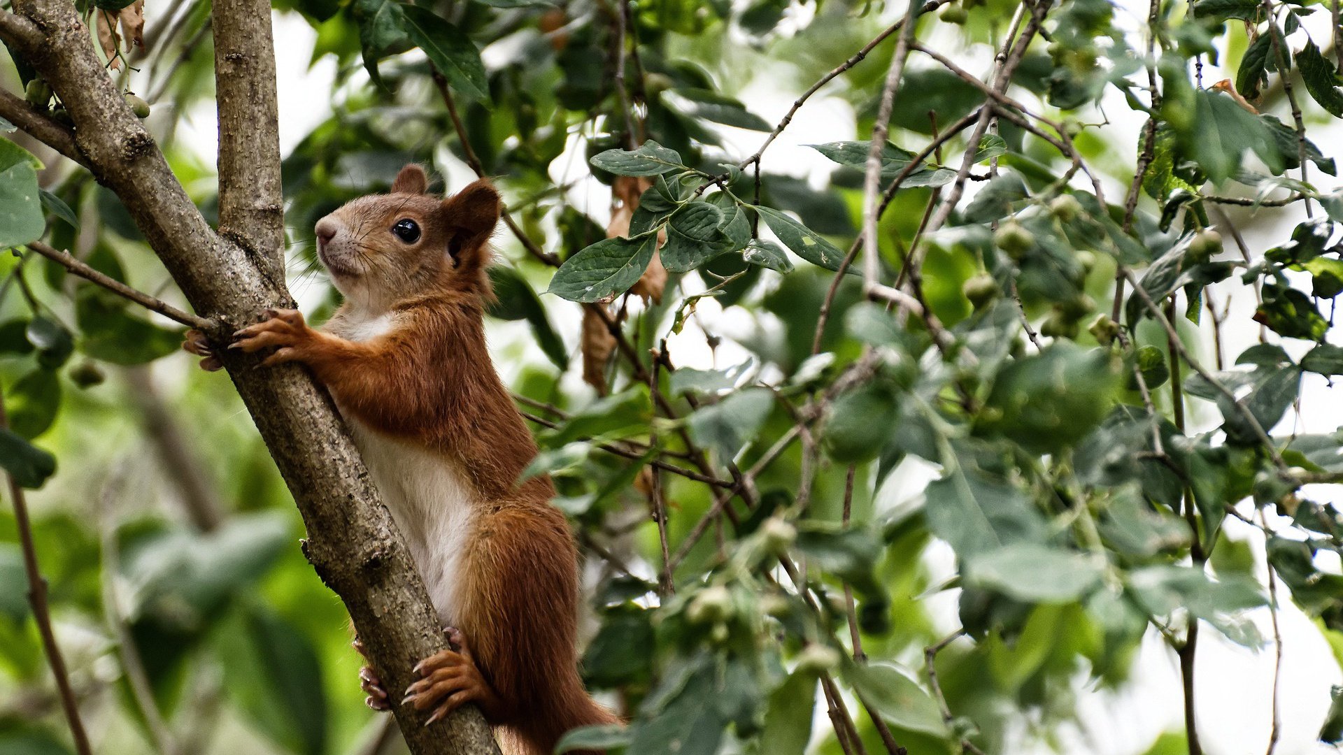 爱游戏官方网站-体育产业投资回报分析，体育产业投资有哪些