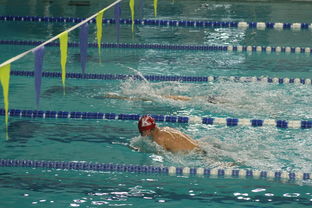 AYX GAMING-国际游泳精英赛中国队多人破纪录，国际游泳冠军系列赛