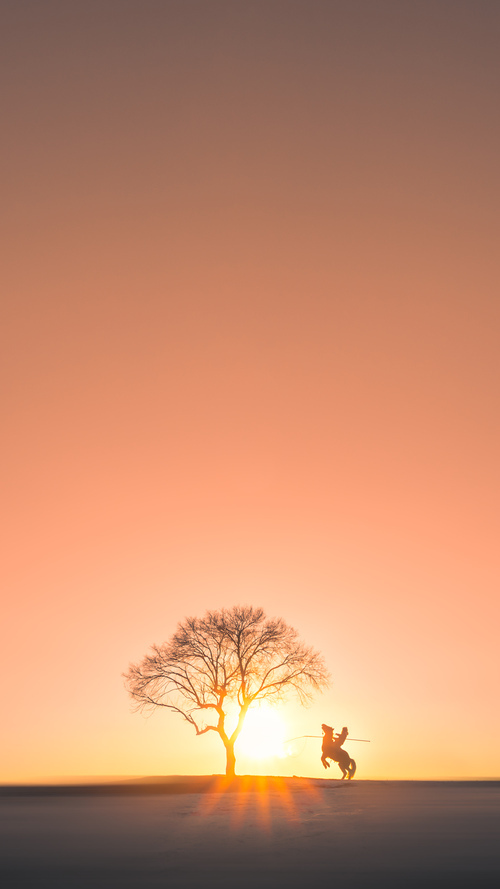 东亚杯中国青年队逆袭 球迷情绪积极向上,东亚杯中国战绩