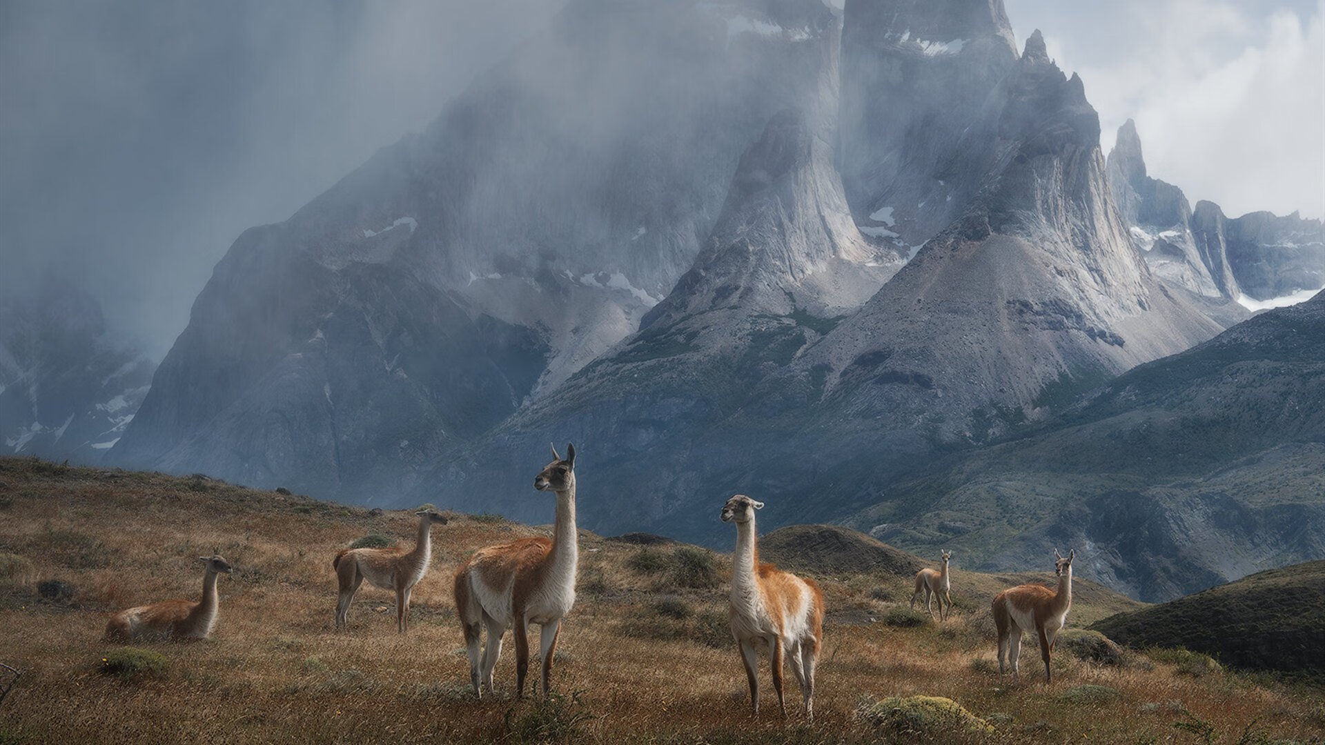 爱游戏体育app-中国马拉松大满贯赛事吸引国际选手回归，中国马拉松大满贯组委会