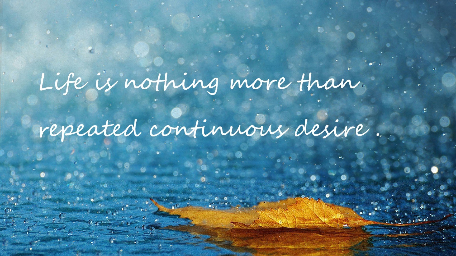 爱游戏登录入口-奥运举重模拟赛展现新周期备战成果，奥运举重现场