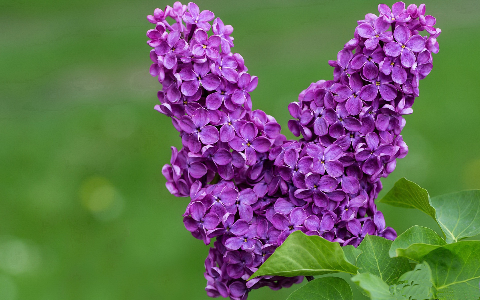 女子马拉松全国冠军赛湖南站激情开跑，女子马拉松冠军中国