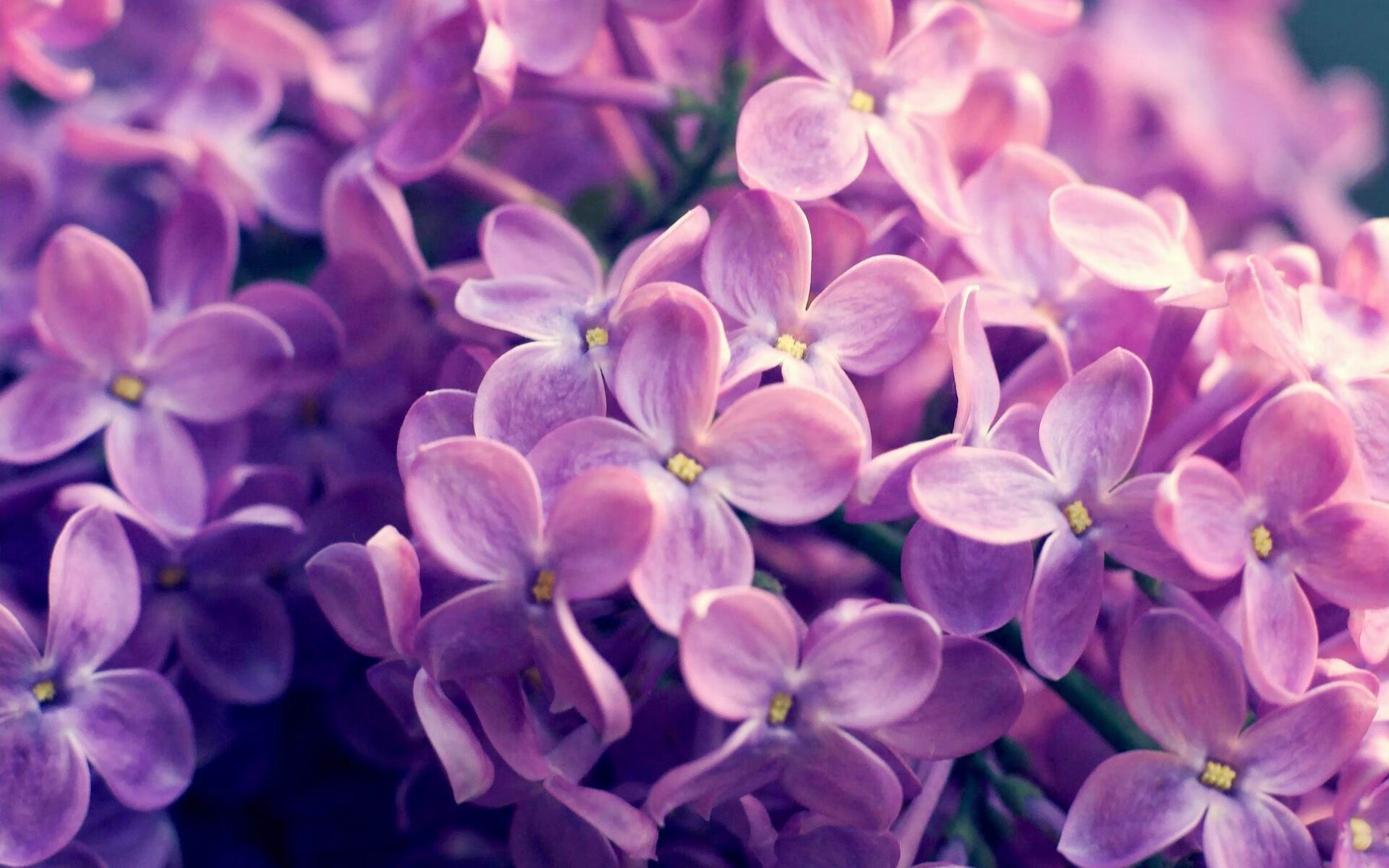 快攻推进时节奏错判是否容易导致空位浪费，快攻的阶段