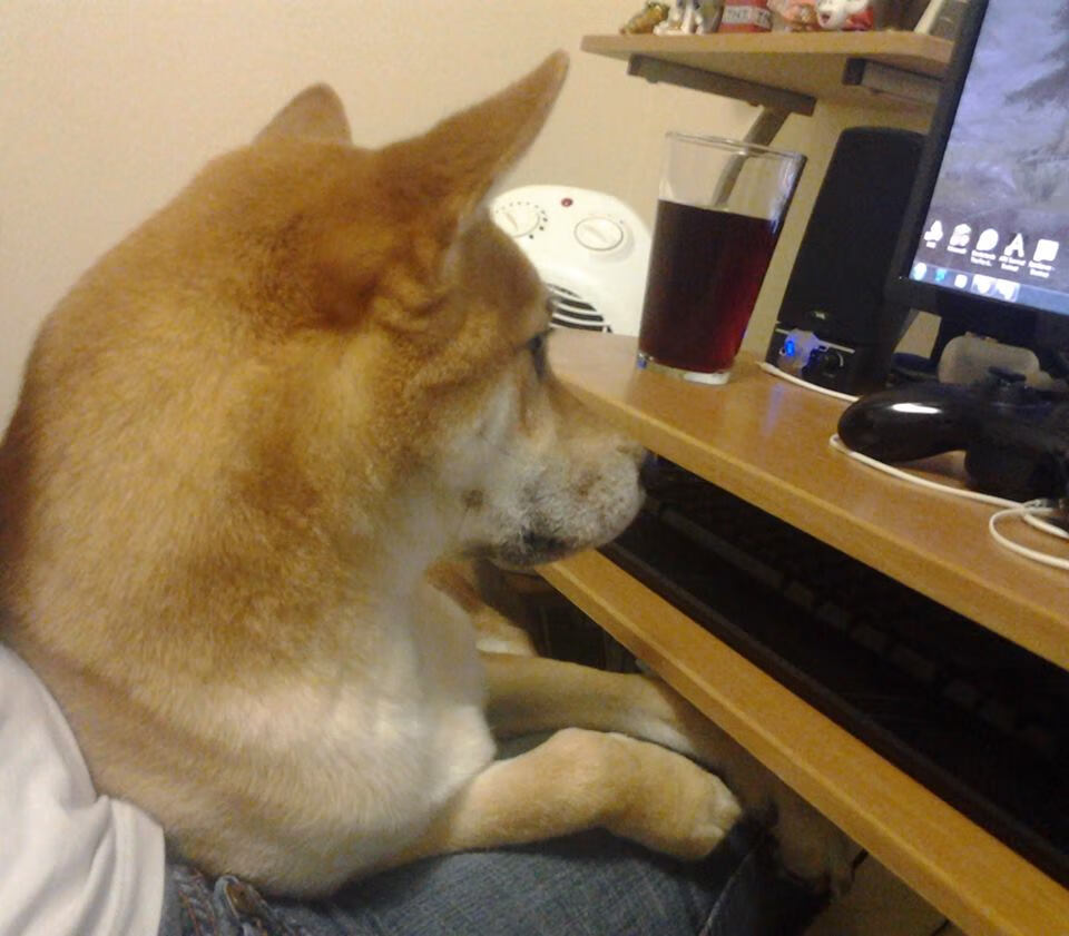 职业联赛受众年轻化进程是否停滞,2021年职业联赛