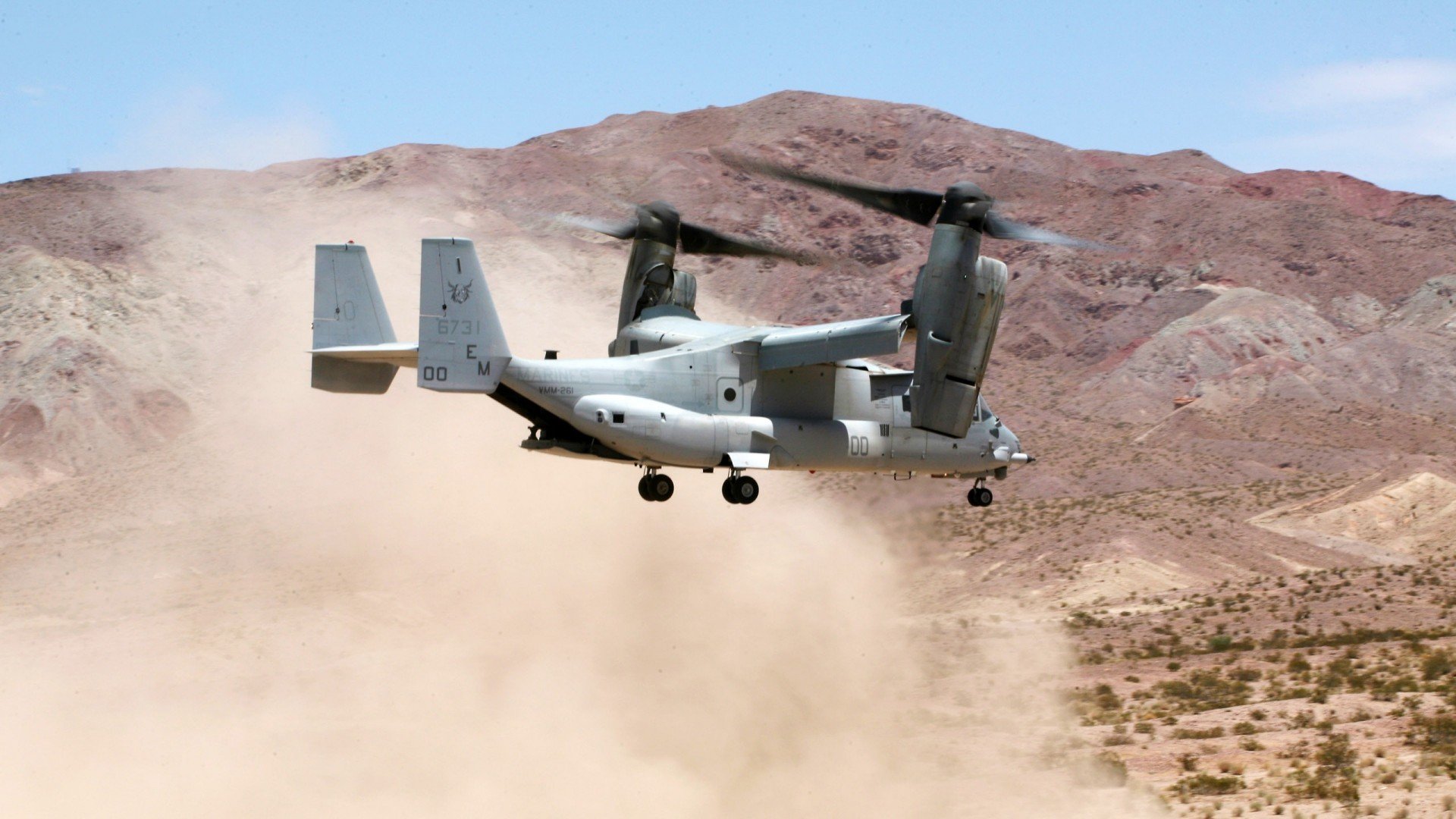 自由搏击全国邀请赛吸引多国选手参赛,自由搏击2021